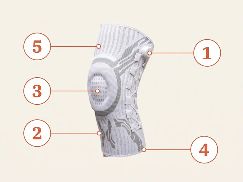 Reoviva Dial Knee Support — the five parts